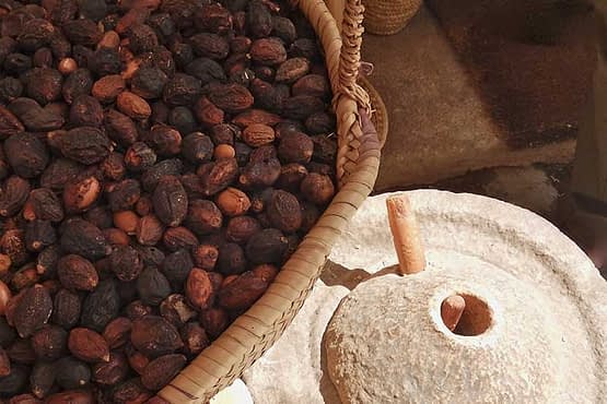 Argan-grinder.jpg