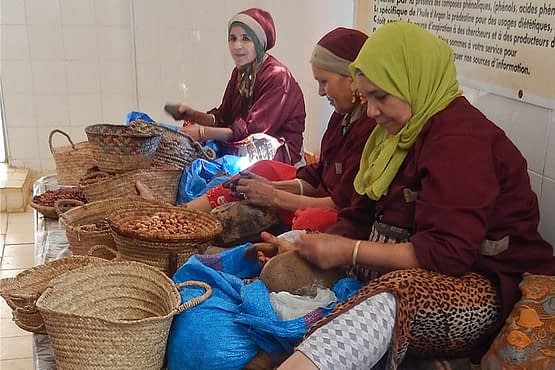 Argan-women.jpg
