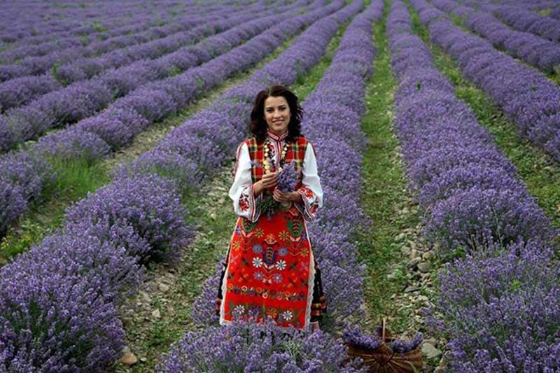 Lavender-local-girl.jpg