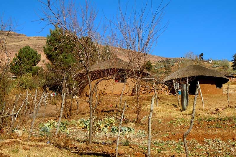 Rosehip-houses-in-village.jpg