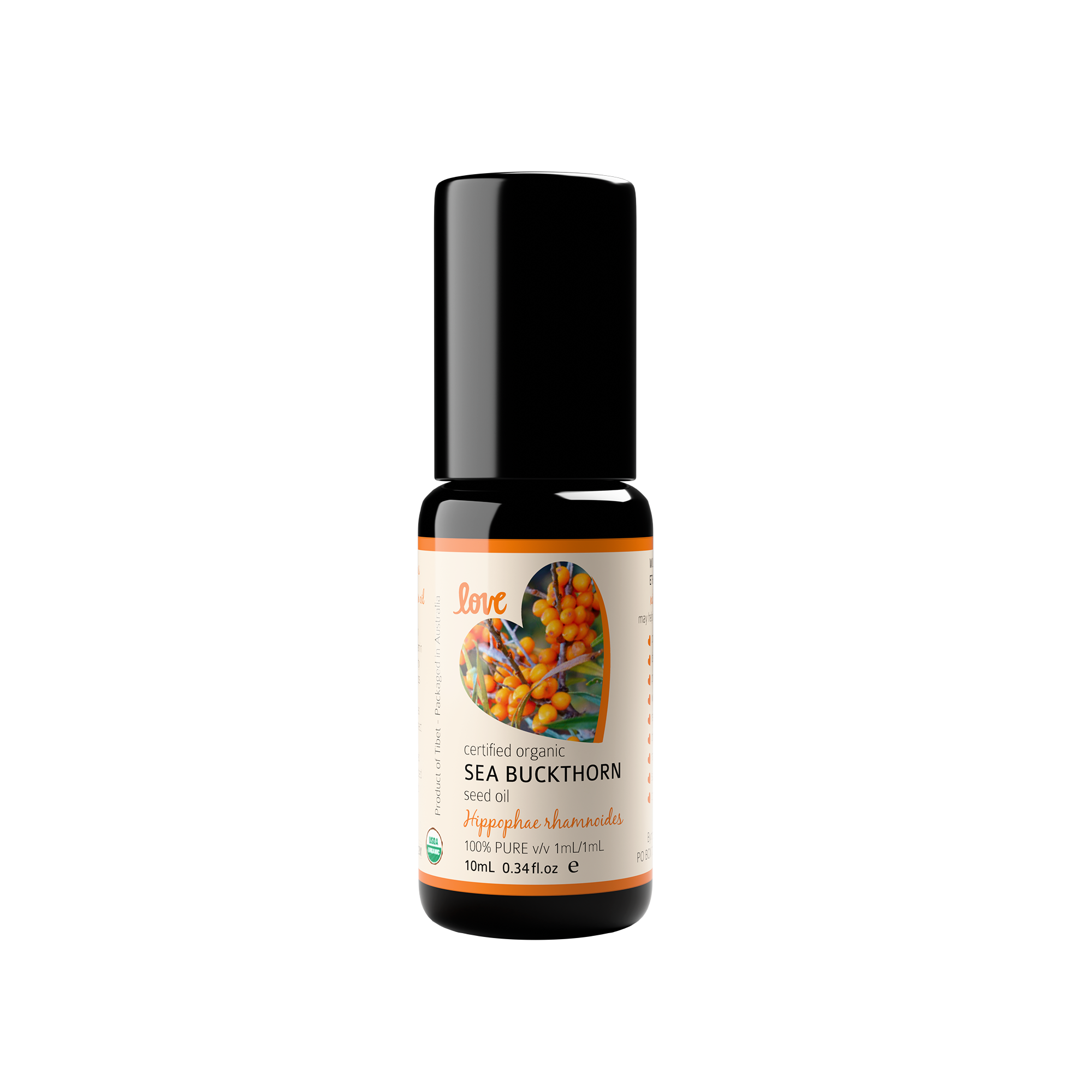 Sea_Buckthorn.png