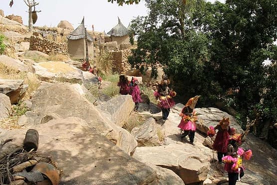 baobab-festival.jpg