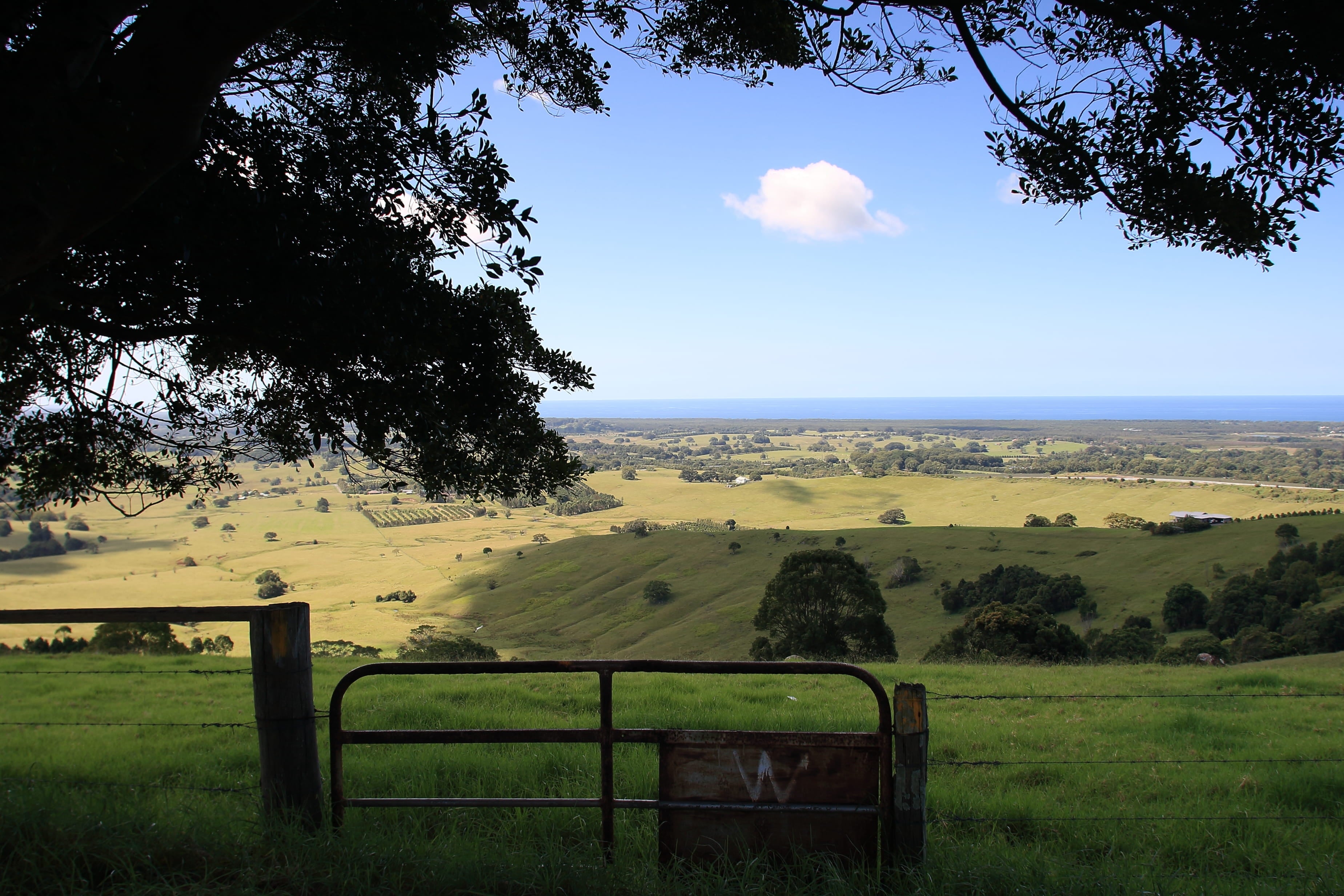 byron_hinterland_view_1.jpg