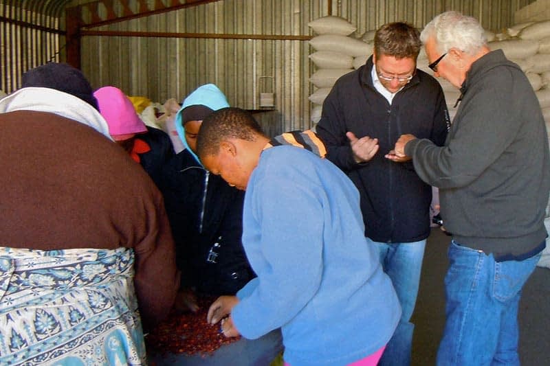 inspecting-rosehips.jpg