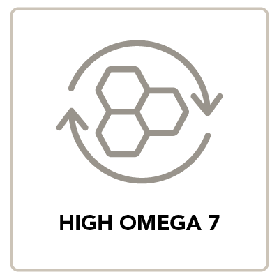 omega7.png