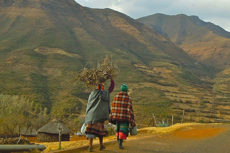 rosehip-lesotho.jpg