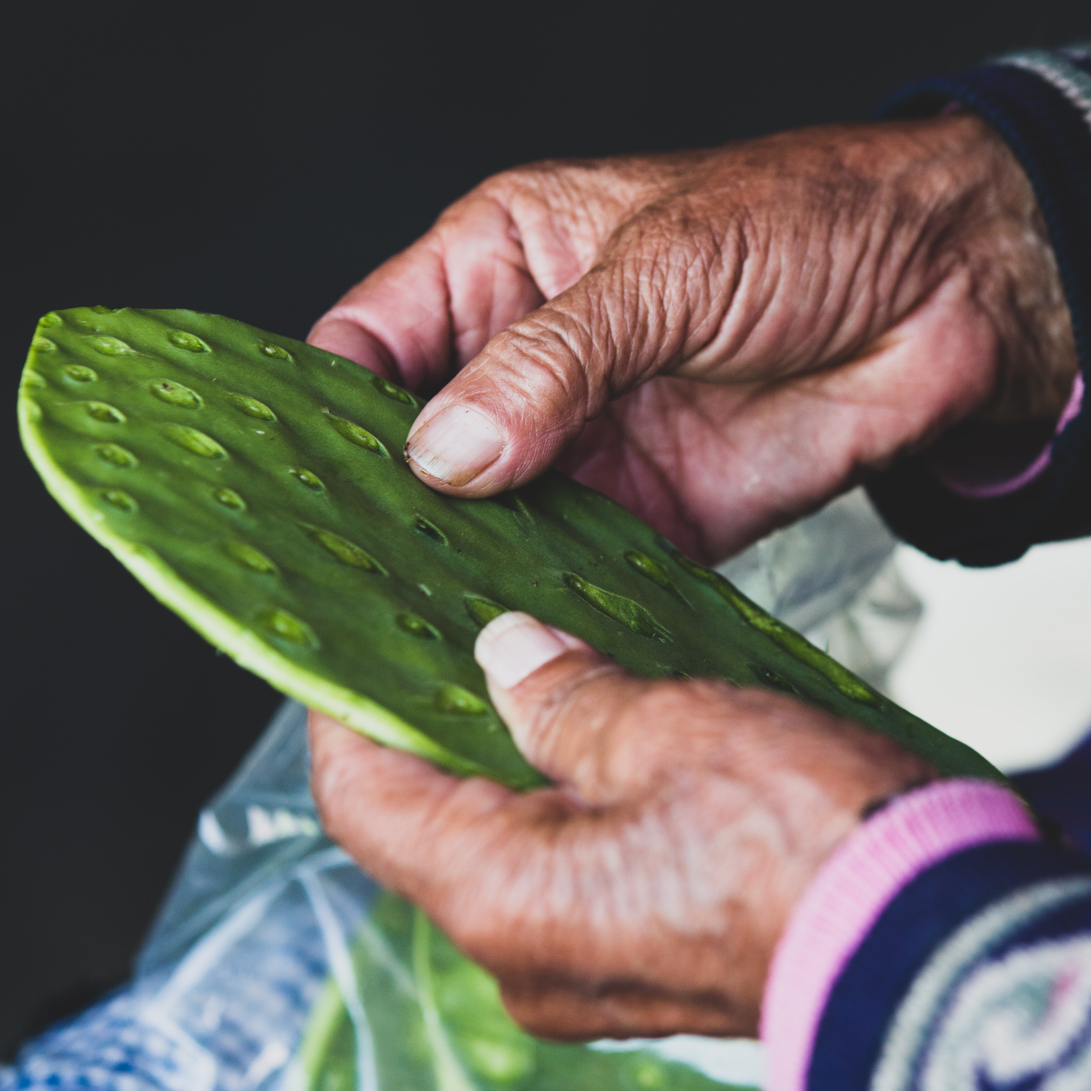Organic Prickly Pear Oil | latierraorganics | Australia